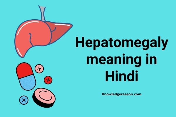 Hepatomegaly meaning in Hindi