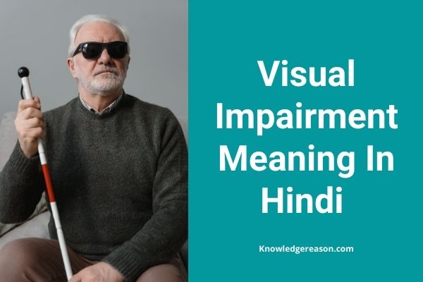 Visual Impairment meaning in Hindi