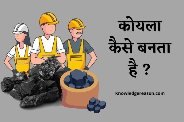 कोयले कैसे बनते है ? कोयले कितने प्रकार के होते है ?