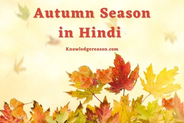 Autumn Season in Hindi – शरद ऋतु का मौसम