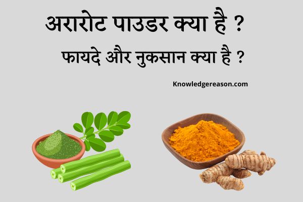 Arrowroot Powder in Hindi