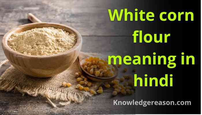 White corn flour meaning in hindi | White corn flour का मतलब क्या होता है ?