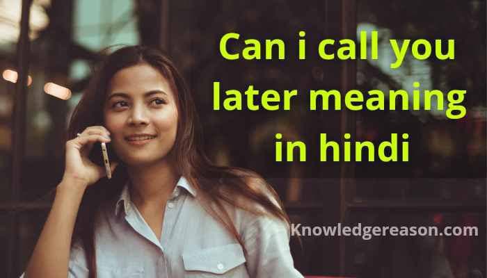 Can i call you later का मतलब क्या होता है? | Can i call you later meaning in hindi