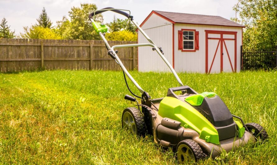 How Often Should You Mow Your Lawn?
